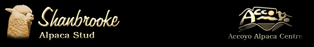 Shanbrooke Alpaca Stud Logo
