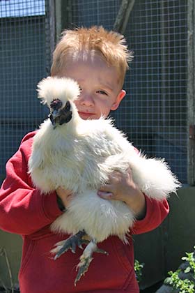 Mitch loves all the farm animals
