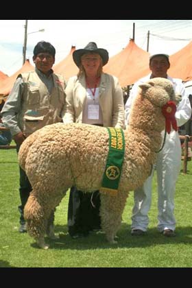 Judging the fiesta in Peru