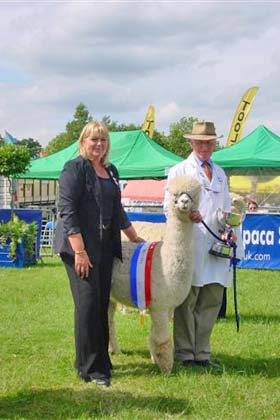 Dianne with champion Huacaya Royal Show England