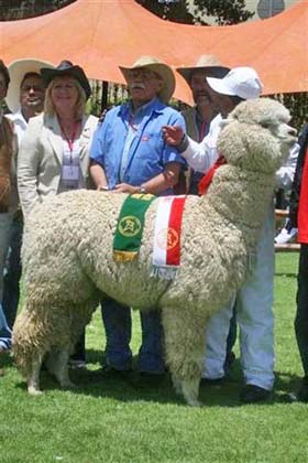 Dianne and Dr sumar judging in Peru