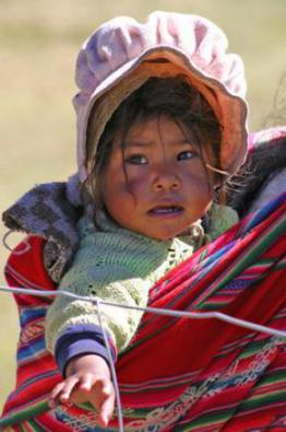 How a child is carried by a woman shepherding alpacas