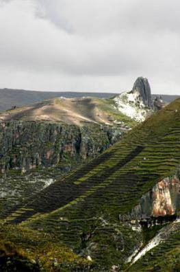 Terraced farming at the edge of the Amazon Jungle