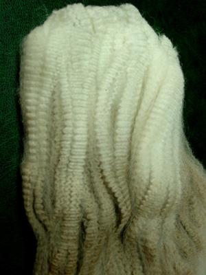 A fleece off a three year old female on the farm A fleece off a three year old female on the farm